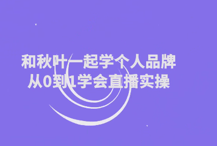 和秋叶一起学个人品牌从0到1学会直播实操