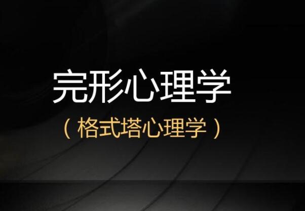 叶斌 格式塔 完形心理治疗入门62讲