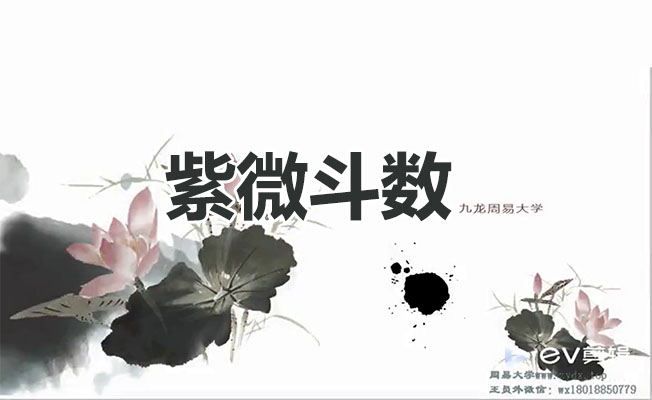 九龙道长-王员外斗数紫微斗数课程
