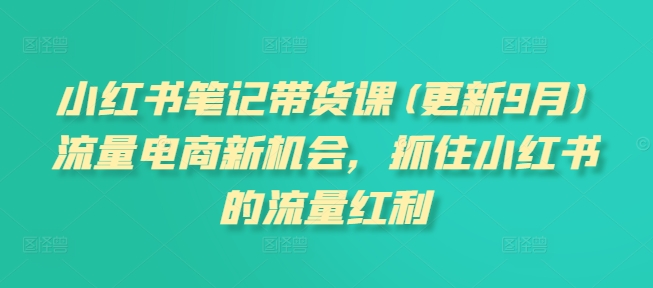 张宾·小红书笔记带货课（更新2026）