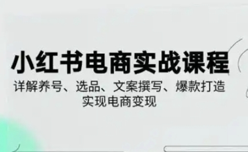 小红书从0-1实操课2025养号、选品、文案撰写、爆款打造实现电商变现