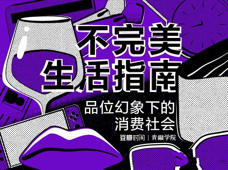 不完美生活指南—品味幻象下的消费社会
