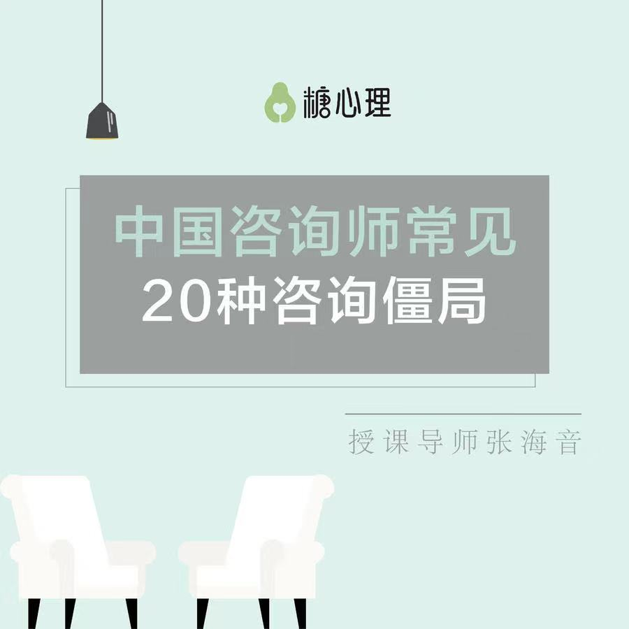 张海音 中国咨询师常见的20种咨询僵局 微课40讲录音+课件