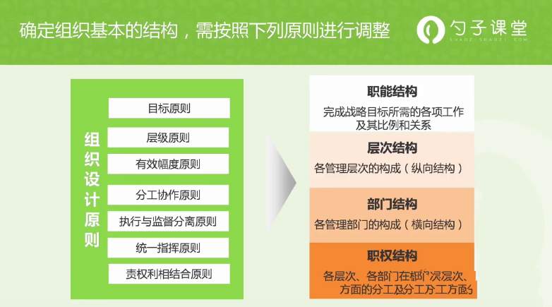 【组织经营】设计组织结构的基本原则