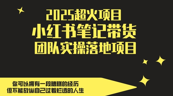 2025超火项目，小红书笔记带货团队实操落地项目，轻松日入5张
