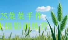 2025菜菜手作专业摄影训练营