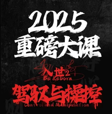2025重磅大课,入世2 驾驭与控制