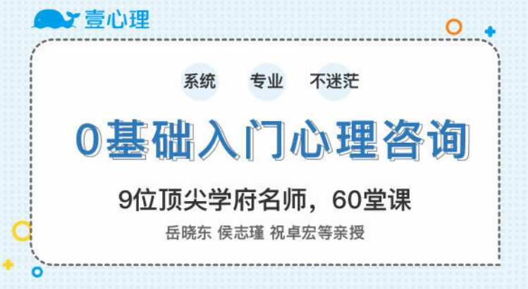 零基础入门心理咨询师 60堂启蒙课领你进入心理咨询的大门