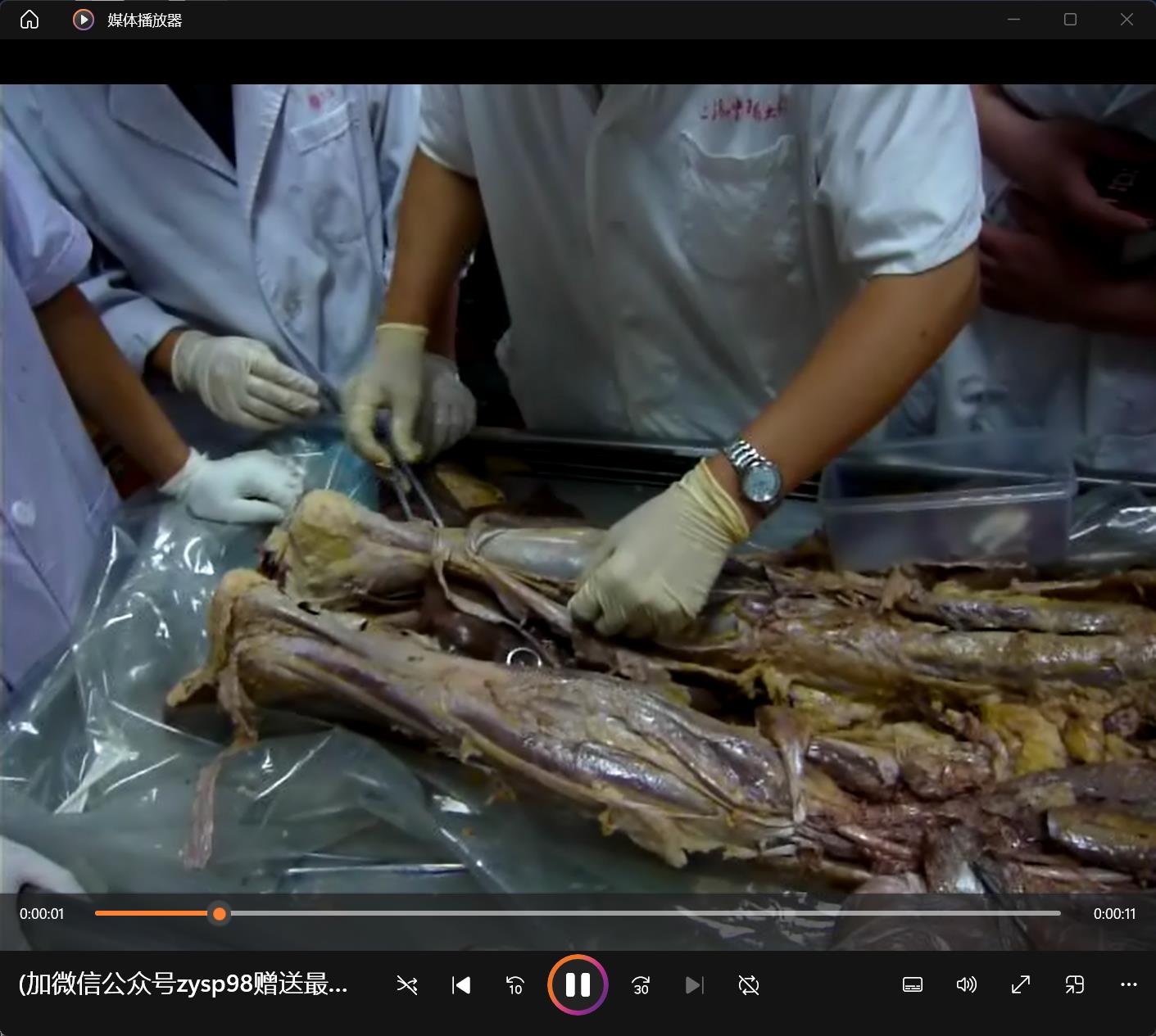 真人解剖班视频_全部真人演示的基础解剖学视频_法医解剖视频