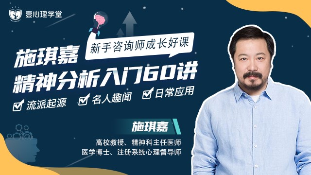 施琪嘉 精分临床治疗 心理咨询师的必修课理论+案例 【50堂网络视频课】