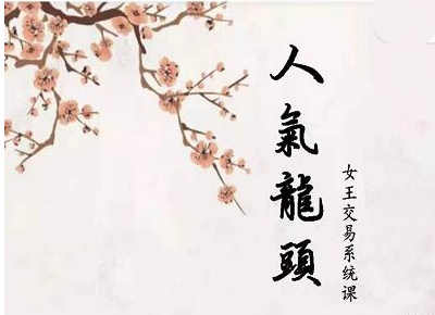 短线女王人气女王人气龙头基础视频课程