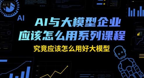 瑞克老张AI与大模型企业应该怎么用系列课程，究竟应该怎么用好大模型