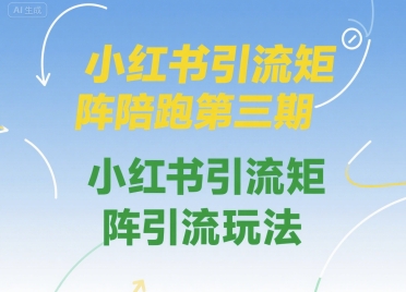 钟小玲小红书引流矩阵陪跑第三期,小红书引流矩阵引流玩法
