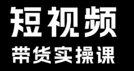 短视频带货系统课程大纲插图