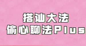 良叔搭讪大师课程：掌握Alpha框架，驰骋情感世界插图