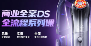 巧匠商业全案DS流程系列课程插图