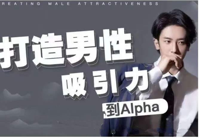 《从Beta到Alpha：男性吸引力打造指南》插图