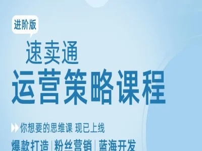跨境电商速卖通进阶运营策略与爆款打造技巧教程——劳伦斯跨境插图