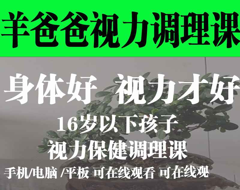 羊爸爸儿童视力保健课程：针对16岁以下孩子的视力调理与保护插图