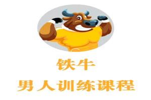 铁牛会员课程合集：延时训练法与多种教学内容插图