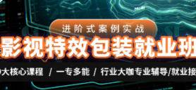 AE老温影视特效包装课程合集插图2