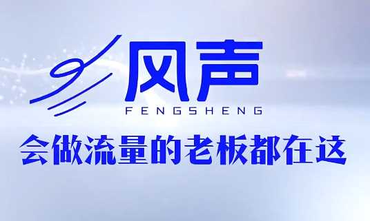 董十一·风声短视频AI获客年度会员