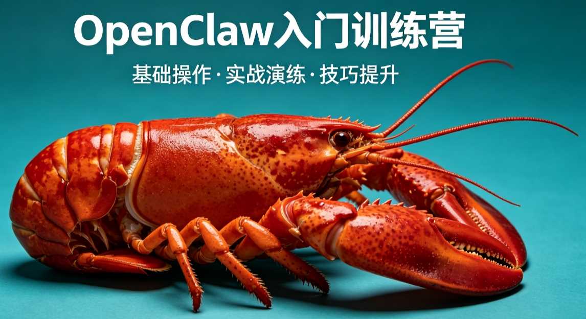 OpenClaw入门训练营