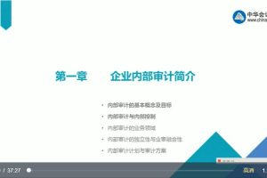 中华:内部审计讲解课程(视频11集)