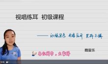 魏留乐视唱练耳初级音乐舞蹈课程
