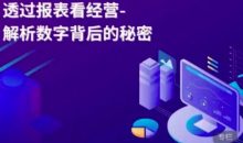 大成方略-透过报表看经营-解析数字背后的秘密
