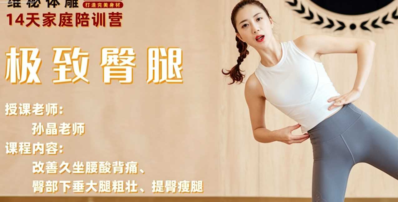 孙晶维密体雕14天家庭陪训营-极致臀腿