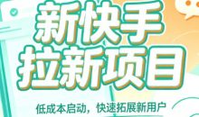 新快手拉新项目，手把手教你制作推广作品、掌握推广逻辑与实操技巧
