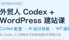大卫·外贸人Codex+WordPress建站课(更新8月)