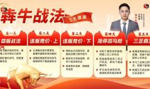 王啊奔犇牛战法股市高手密训营 公开课