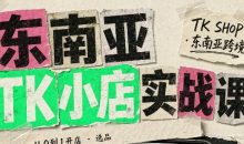 东南亚TK小店实战课(基础+进阶)