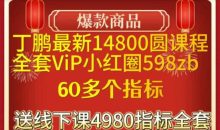 期货课程丁鹏资料指标等,丁鹏最新14800圆课程+全套VIP小红圈498zb