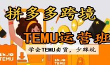 岑老师·拼多多跨境Temu运营班