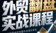 Alisa老师·外贸翻盘实战课程(更新部分)