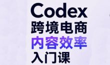Codex跨境电商内容效率入门课