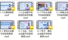 企业数字化转型案例与优秀实践