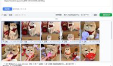 微信公众号文章内图片解析器v1.0可批量下载高清原图
