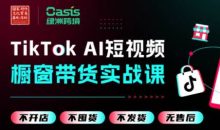 绿洲跨境·TikTok AI短视频橱窗带货实战课
