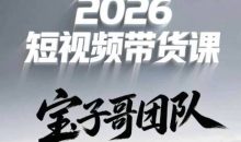宝子哥头部团队短视频带货（更新9月）