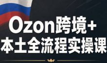 Ozon跨境+本土全流程实操课