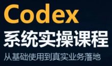 codex系统实操课程(更新10月)