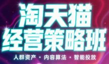 智篆·淘天猫经营策略班6月12-13线下课(音频+字幕)