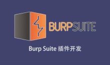 Burp插件开发 视频教程价值299元
