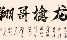 【翔哥擒龙】逻辑为王训练营
