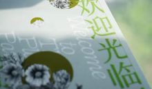 Ronny设计学堂孫容100天陪练计划平面设计100问