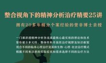 訾非:整合视角下的精神分析治疗精要25讲